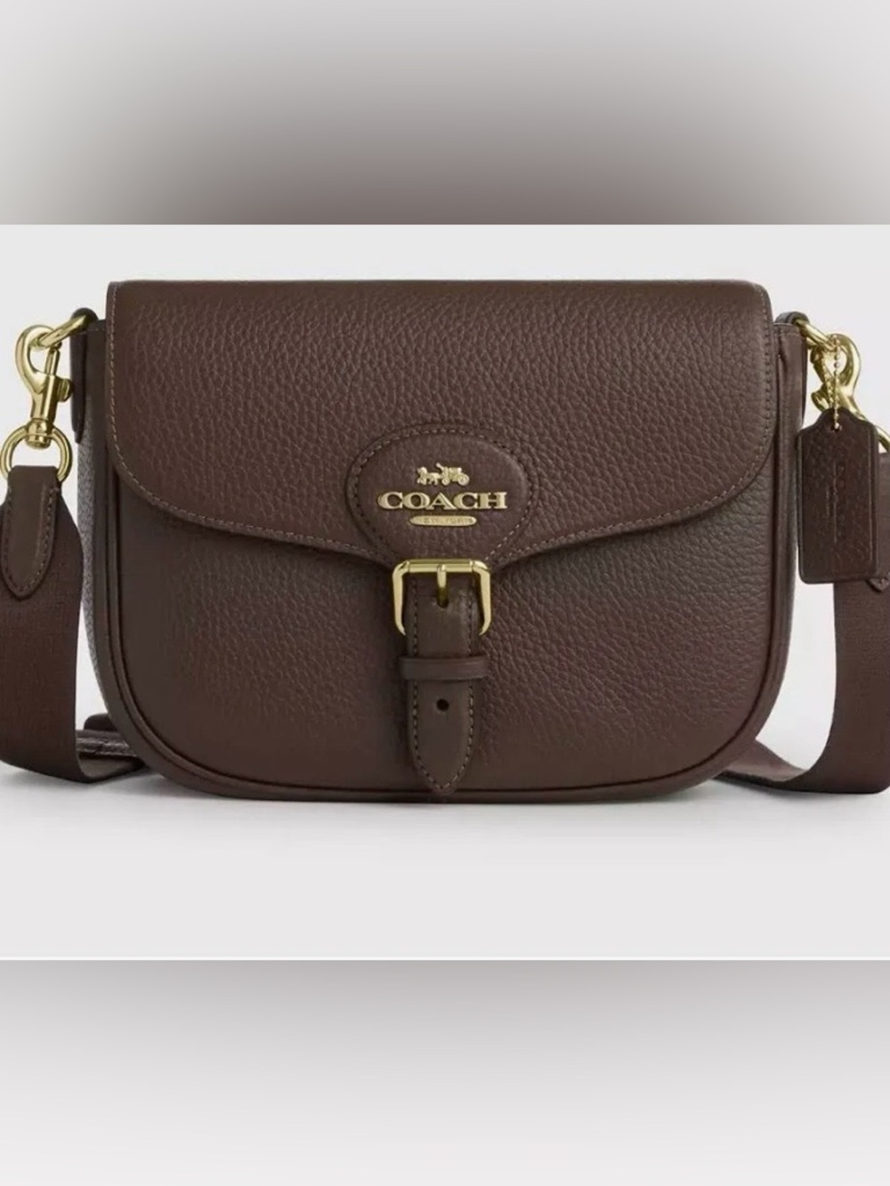 COACH Amelia saddle bag